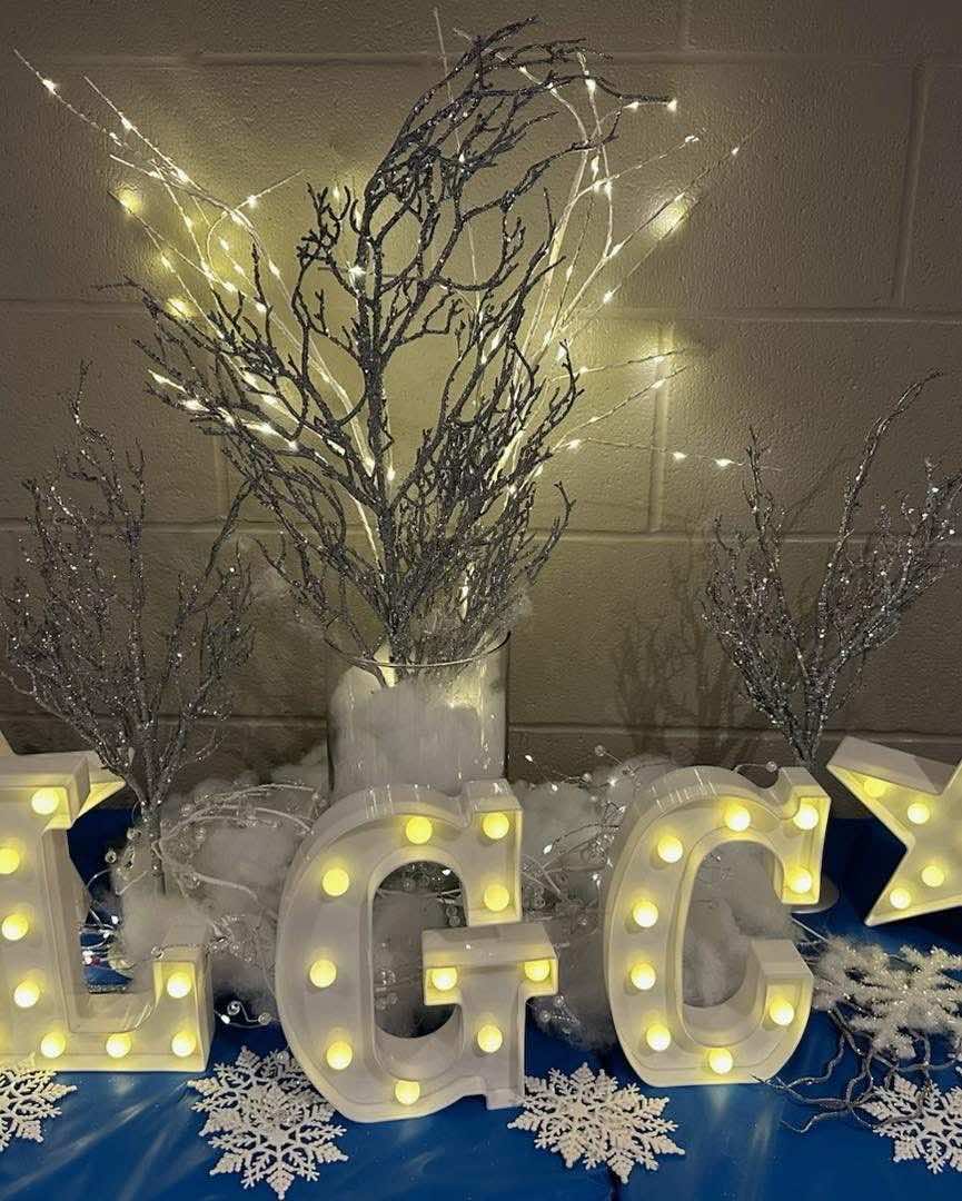 Snow Globe Classic photo